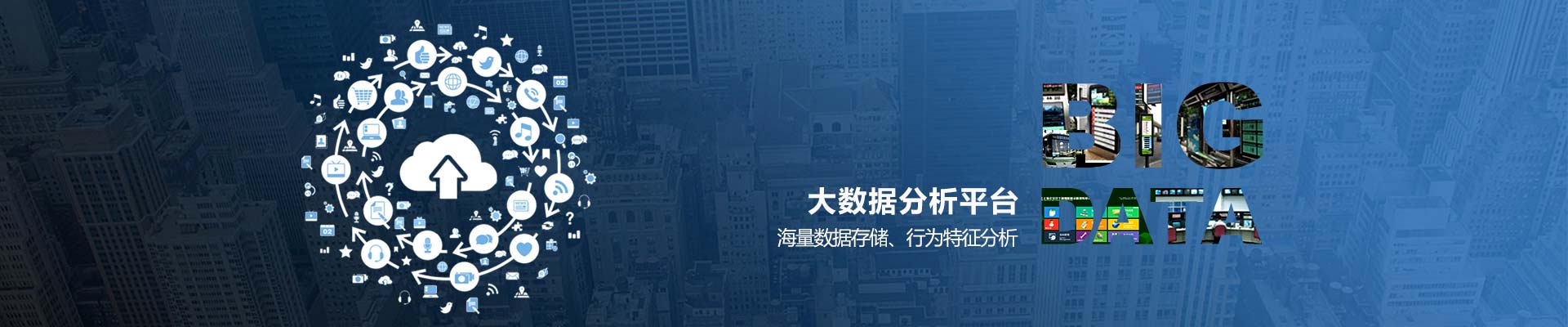政府网站普查